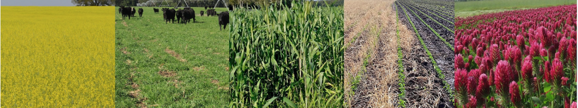 Tri-State Cover Crops Virtual In-Service Training